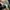 The North Face Sportswear Hat Pria white black photo 3