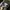 The North Face Sportswear Hat Pria white black photo 5