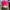 Shein Avant Garde Crop top Wanita pink photo 2