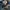 True Religion Vintage Y2K Jeans Pria navy photo 4