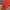Vintage Y2K Windbreaker Pria red photo 5