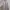 Nevada Streetwear Casual Sweater Wanita gray photo 2