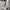 Universal Studios Casual T-shirt Pria multicolor white photo 3