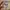 Japanese brand Vintage Streetwear T-shirt Pria tan photo 4