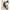 Braun Buffle Luxury Shoulder bag Wanita white photo 6