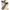 Braun Buffle Luxury Shoulder bag Wanita white photo 5