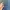 Luxury Minimalist Short Pria blue photo 6