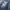 Luxury Minimalist Short Pria blue photo 2