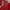 Nike Luxury Minimalist T-shirt Pria red photo 2