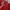 Nike Luxury Minimalist T-shirt Pria Red