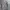 Jeep Luxury Sweatshirt Pria gray photo 1