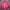 Puma Streetwear Casual dress Wanita pink photo 2