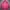 Puma Streetwear Casual Dress Wanita Pink