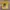 Gildan Vintage Y2K T-shirt Pria yellow photo 1