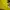 Gildan Vintage Y2K T-shirt Pria yellow photo 3