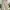Lee Casual Corduray pants Pria cream photo 1