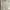 Lee Casual Corduray pants Pria cream photo 2