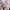 Coquette Casual Casual dress Wanita pink photo 4
