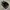 Puma Casual Sneakers Pria black photo 1