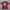 Sportswear Jersey Pria burgundy photo 1