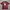 Sportswear Jersey Pria Burgundy