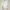 Earth, Music & Ecology Casual Cardigan Wanita cream photo 1