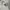 Nike Streetwear Hoody Pria white photo 2