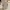 Corkcicle Luxury Wanita white photo 2