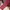 Casual Wanita red photo 2