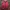 Sportswear Casual Track jacket Pria red photo 1