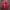 Sportswear Casual Track jacket Pria red photo 6