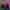 Sportswear Casual Track jacket Pria red photo 2