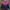Sportswear Casual Track jacket Pria red photo 1