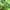 Hollister Casual Sweater Pria green photo 2