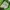 Hollister Casual Sweater Pria green photo 3