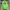 Hollister Casual Sweater Pria green photo 1