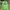 Hollister Casual Sweater Pria Green