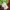 Hollister Casual Sweater Pria green photo 4