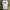 Alpha Industries Streetwear T-shirt Pria white photo 2