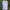 Alpha Industries Streetwear T-shirt Pria White