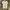 Vintage Y2K T-shirt Pria white photo 3