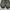HOKA Streetwear Sportswear Sandals & Slide Pria Gray