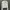 212 Degrees Casual Bomber jacket Wanita white photo 1