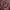 Japanese brand Grunge Goth Vest Pria burgundy photo 2