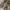 Charles and Keith Vintage Y2K Handbag Wanita gray photo 2