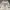 Guess Luxury Casual Sweater Pria white photo 2