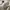 Guess Luxury Casual Sweater Pria white photo 5