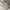 Guess Luxury Casual Sweater Pria white photo 3
