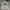 New Balance Vintage Y2K Sweater Pria Gray