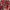 Uniqlo Streetwear Casual Casual shirt Pria red black photo 5